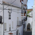 El alma del campo